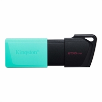 Kingston DataTraveller DTXM USB3.2 256GB Exodiam Nero/Verde (DTXM/256GB)