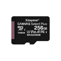 Micro SD Kingston 256GB Class10 100MB/s Select+ con Adattatore SD (SDCS2/256GB)