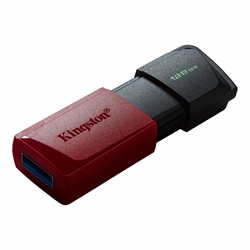 Kingston DataTraveller DTXM USB3.2 128GB Exodiam Nero/Rosso (DTXM/128GB)
