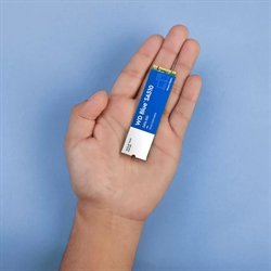 M.2 500GB (2280) SATA3 WD Blue SA510 Read:560MB/s Write:530MB/s (WDS500G3B0B)